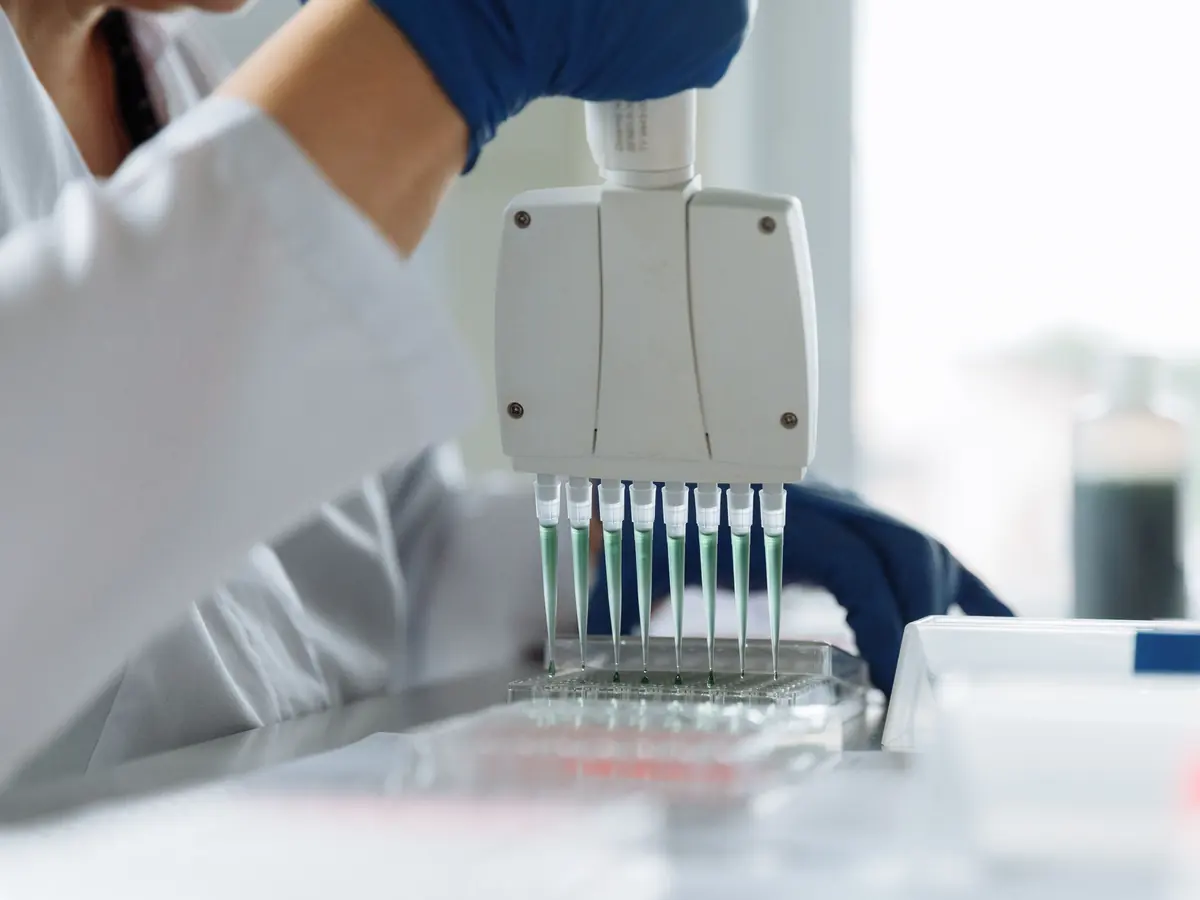 Pipeta multicanal colocando amostras numa placa de laboratório